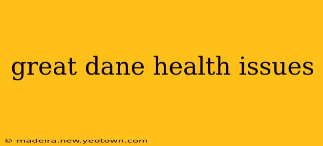 great dane health issues