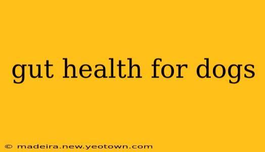 gut health for dogs