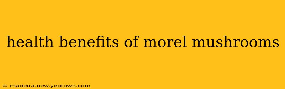 health benefits of morel mushrooms
