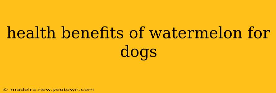 health benefits of watermelon for dogs