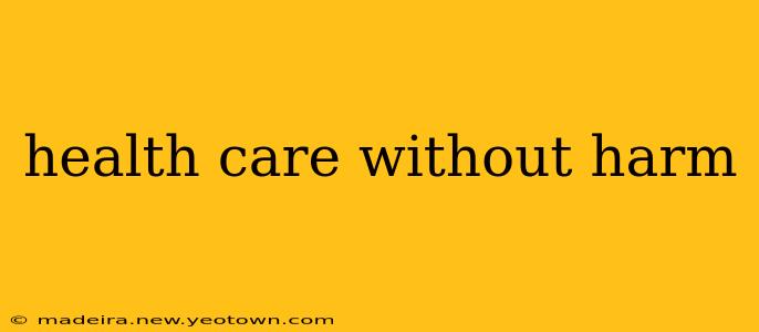health care without harm
