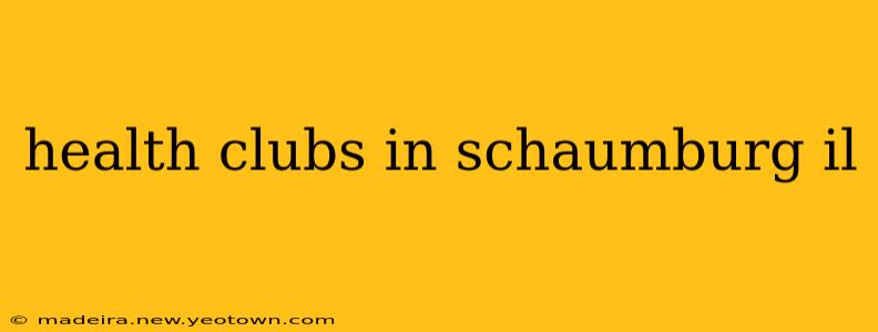 health clubs in schaumburg il