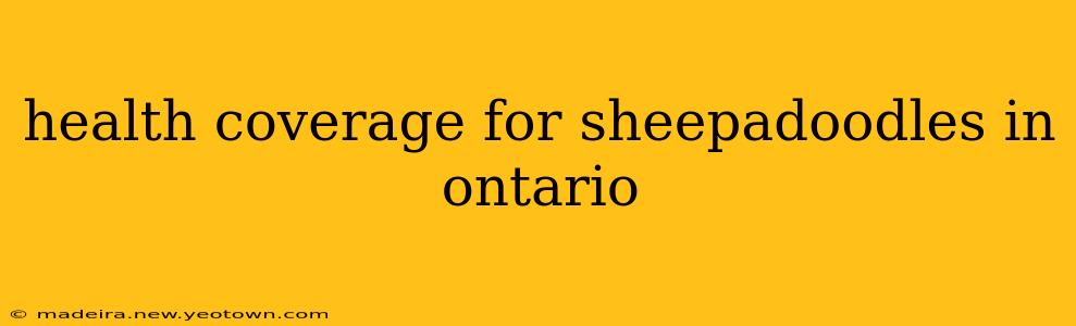 health coverage for sheepadoodles in ontario