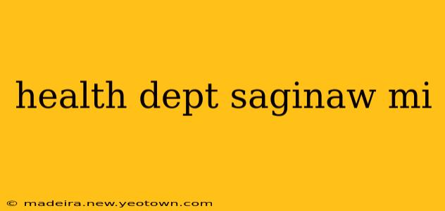 health dept saginaw mi
