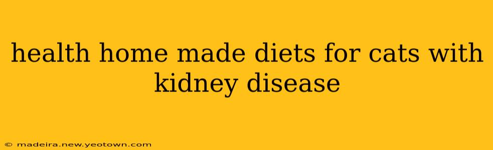 health home made diets for cats with kidney disease