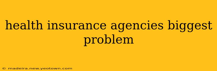 health insurance agencies biggest problem
