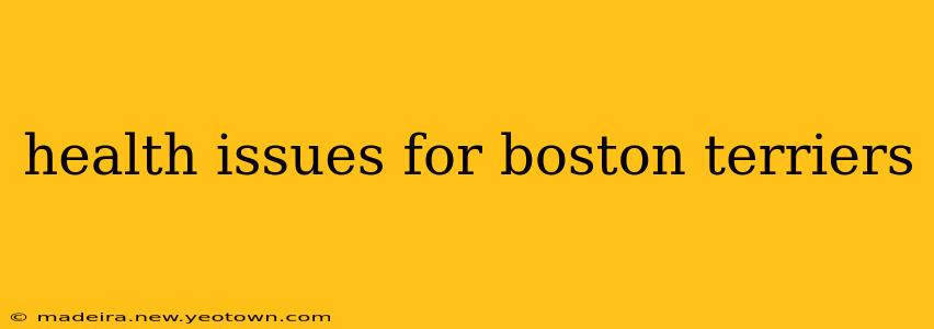 health issues for boston terriers