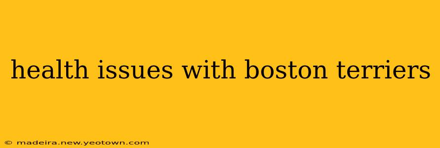 health issues with boston terriers
