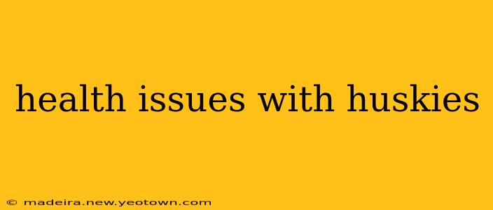 health issues with huskies