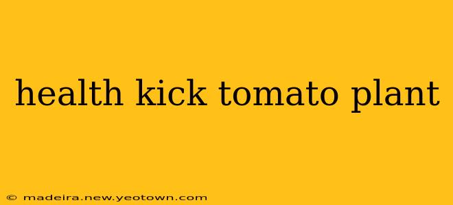 health kick tomato plant