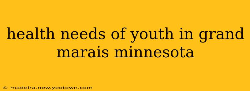 health needs of youth in grand marais minnesota