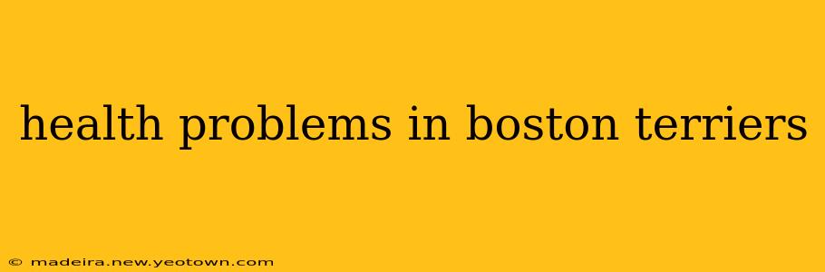 health problems in boston terriers
