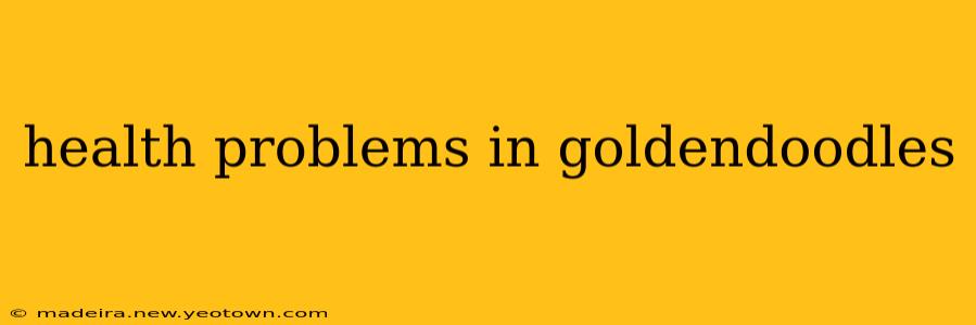 health problems in goldendoodles