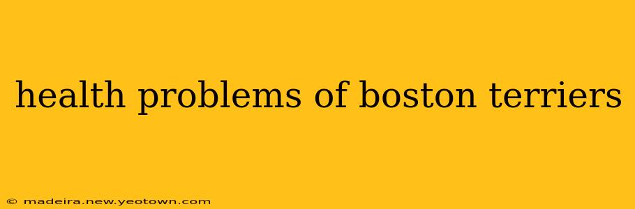health problems of boston terriers