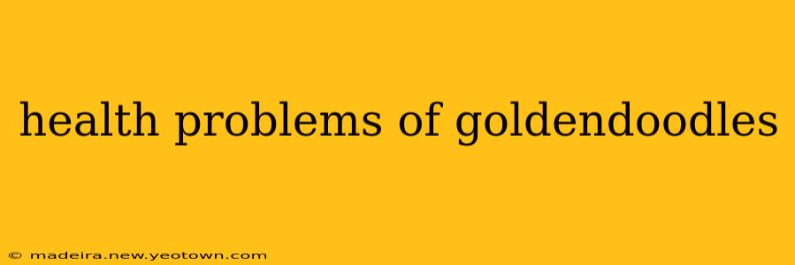 health problems of goldendoodles