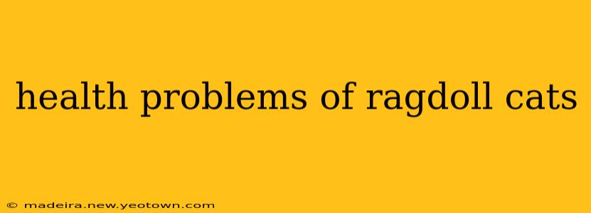 health problems of ragdoll cats