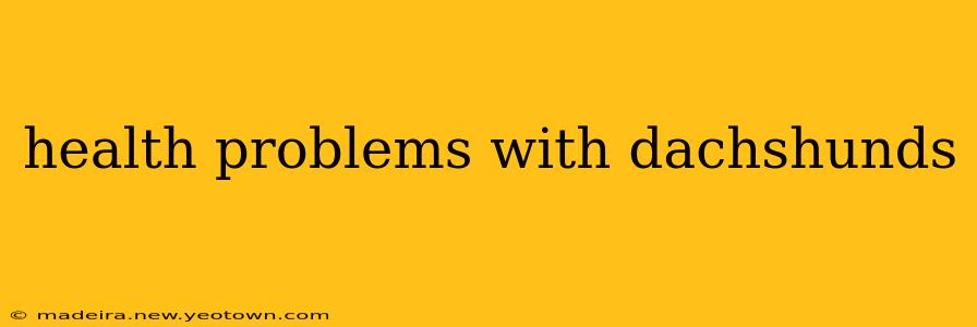 health problems with dachshunds