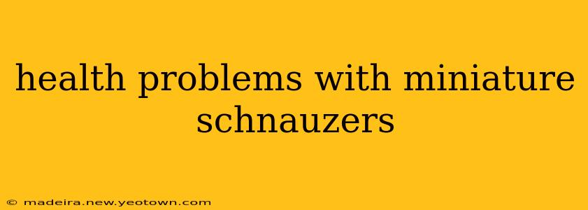 health problems with miniature schnauzers