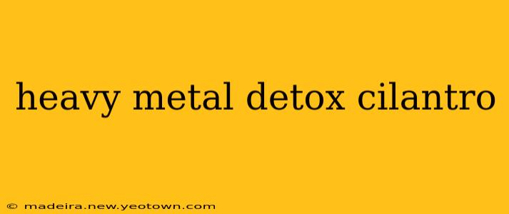 heavy metal detox cilantro