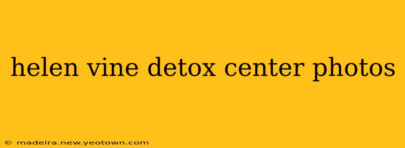 helen vine detox center photos