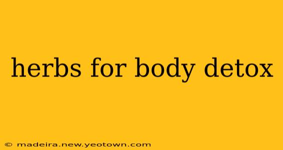 herbs for body detox