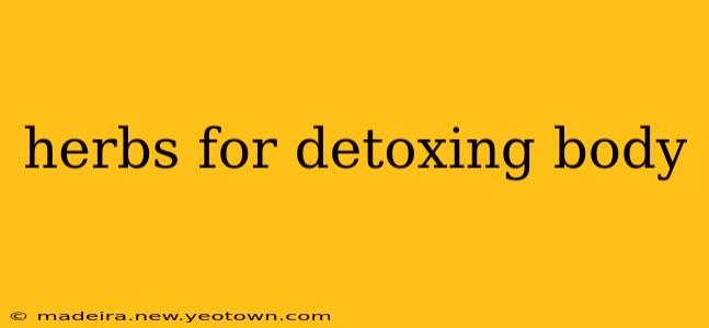 herbs for detoxing body