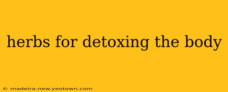 herbs for detoxing the body