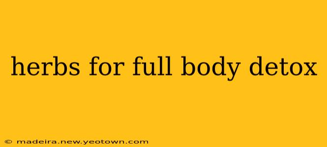 herbs for full body detox