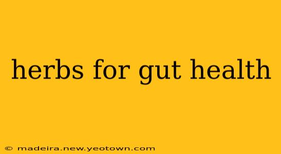 herbs for gut health