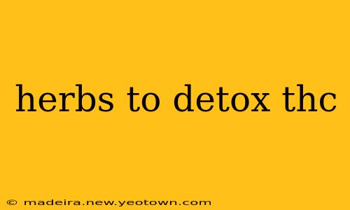herbs to detox thc