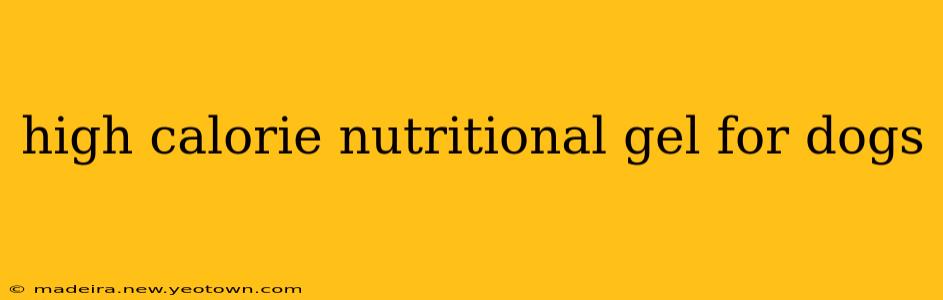 high calorie nutritional gel for dogs
