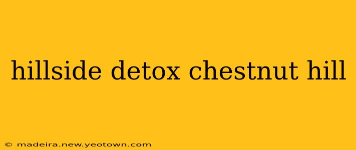 hillside detox chestnut hill