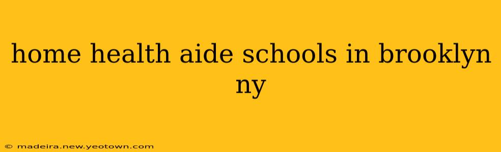 home health aide schools in brooklyn ny
