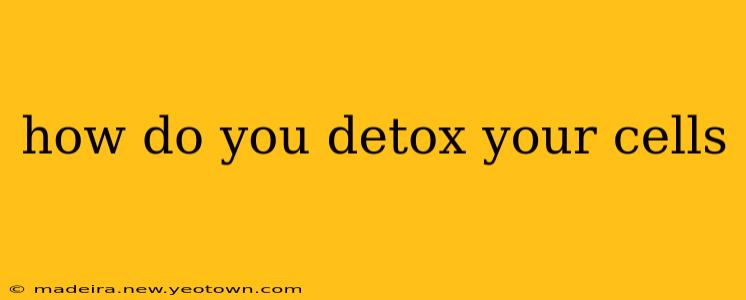 how do you detox your cells