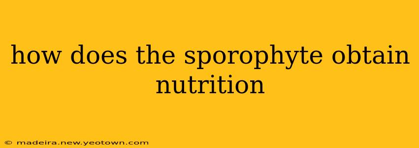 how does the sporophyte obtain nutrition