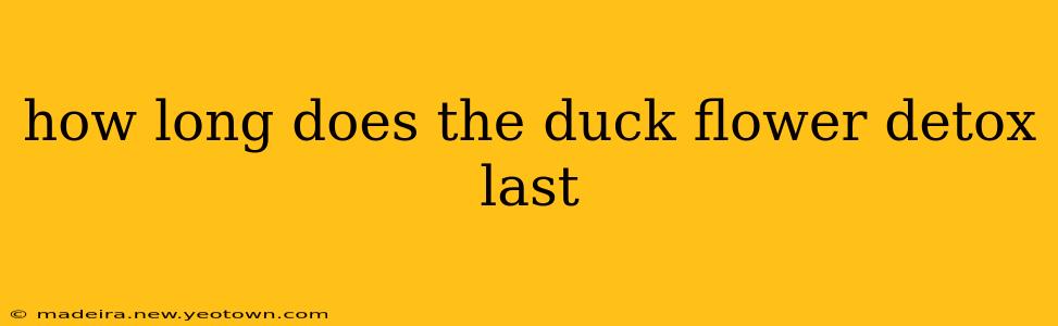 how long does the duck flower detox last