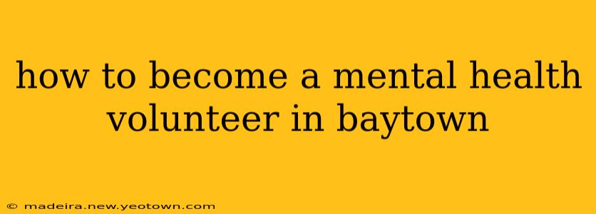 how to become a mental health volunteer in baytown