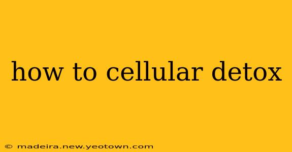 how to cellular detox