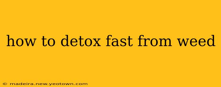 how to detox fast from weed
