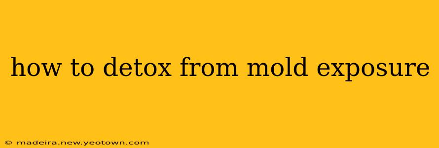 how to detox from mold exposure