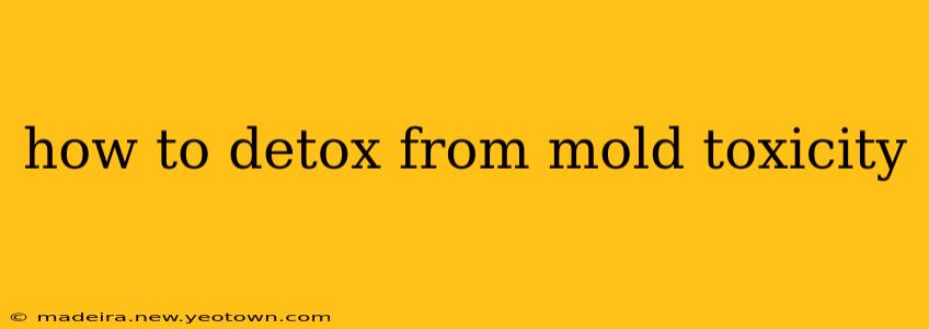 how to detox from mold toxicity