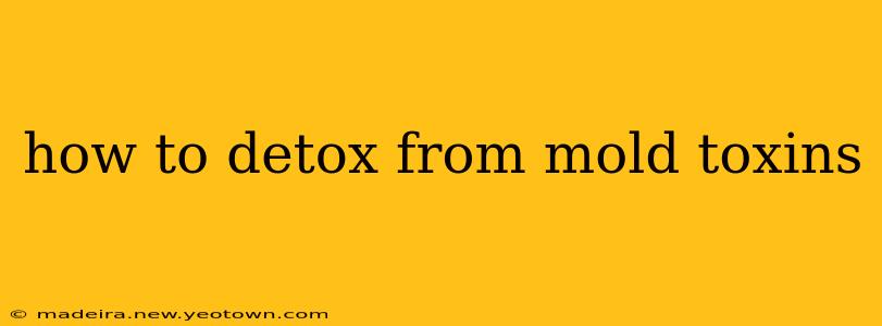 how to detox from mold toxins