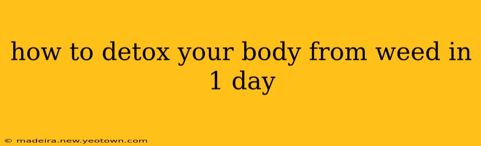how to detox your body from weed in 1 day