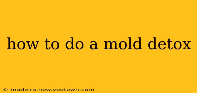 how to do a mold detox
