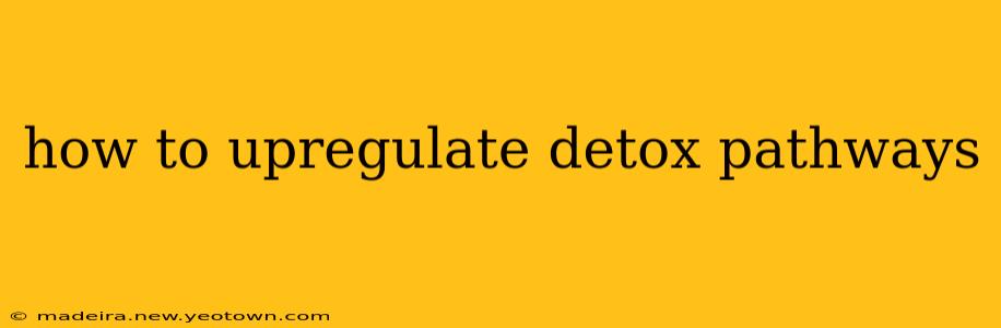 how to upregulate detox pathways