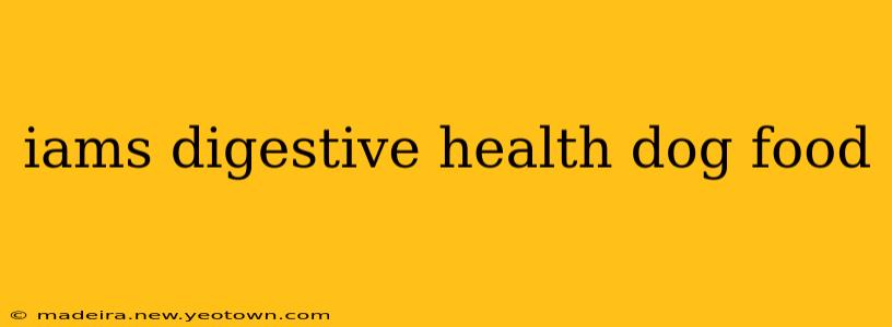 iams digestive health dog food