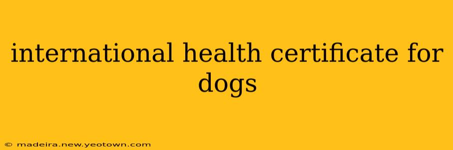 international health certificate for dogs