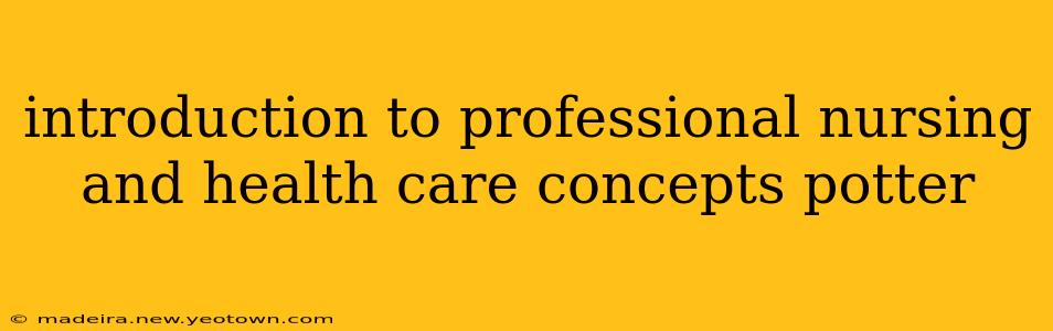 introduction to professional nursing and health care concepts potter