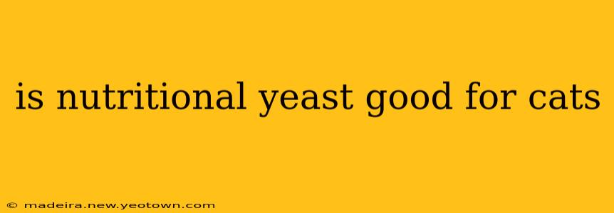 is nutritional yeast good for cats