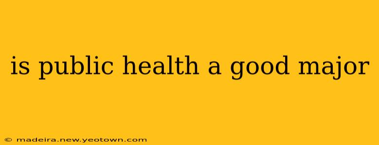 is public health a good major